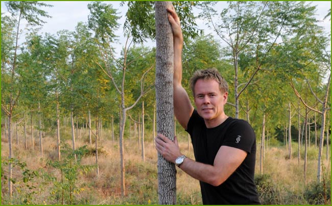 2 year old mukau trees