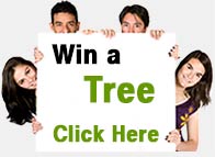 Win a Better Globe Tree!