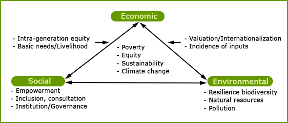 Society in the environmental system