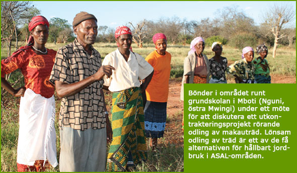 Farmers around Mboti Primary School