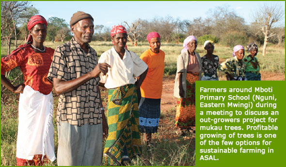 Farmers around Mboti Primary School