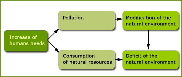 Society in the environmental system