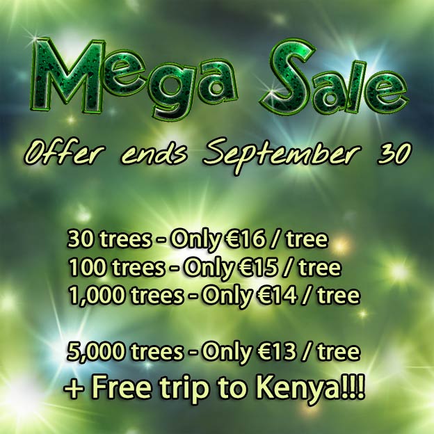 Mega Sale of Better Globe Trees!