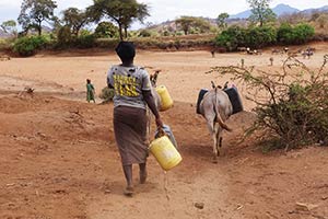 On the way to get water from waterhole